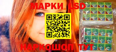 Альфа ПВП Малгобек