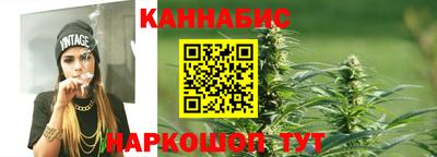 Альфа ПВП Малгобек