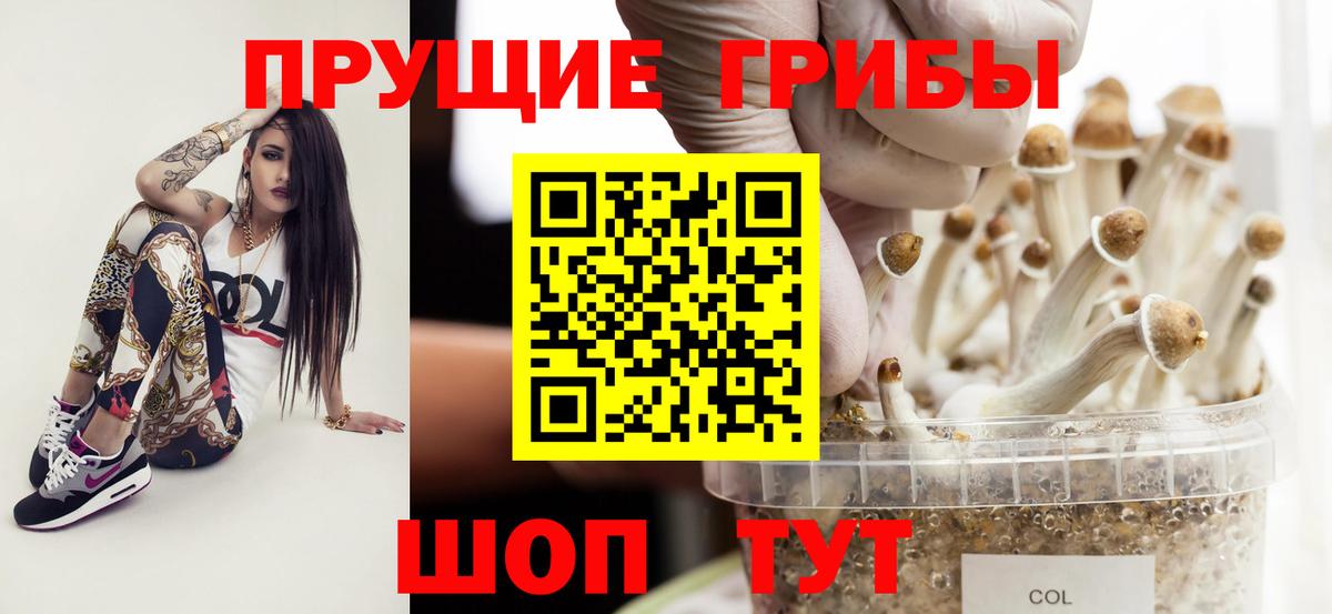 Галлюциногенные грибы мицелий  Вход с VPN  Балтийск  Псилоцибиновые грибы мухоморы 