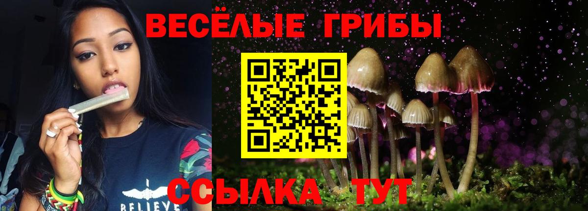 Галлюциногенные грибы прущие грибы Балтийск
