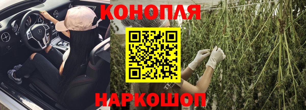 Конопля конопля  Вход с VPN  Балтийск  Шишки марихуана конопля 